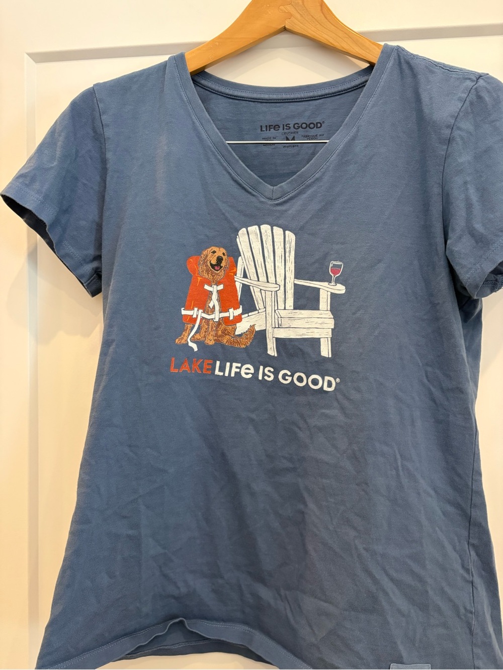 Life Is Good Blue Lake Dog Graphic V-Neck Tee